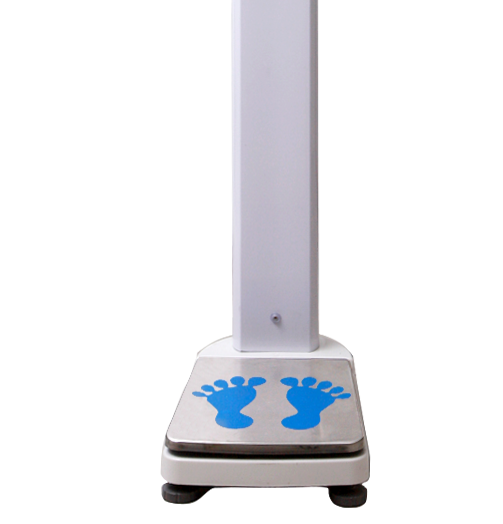 �O����y�������z�y